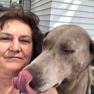 Meet your Posher, Judy